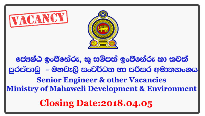 Senior Engineer, Earth Resource Engineer, Acquisition Officer, Deputy Project Director, Technical Officer, Irrigation/Civil Engineer, Environment Officer - Ministry of Mahaweli Development & Environment