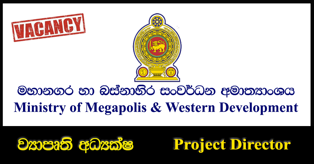 Project Director - Ministry of Megapolis & Western Development