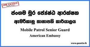 Mobile Patrol Senior Guard - American Embassy Vacancies 2023