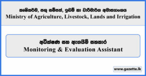 Monitoring & Evaluation Assistant - Ministry of Agriculture, Livestock, Lands and Irrigation Vacancies 2025