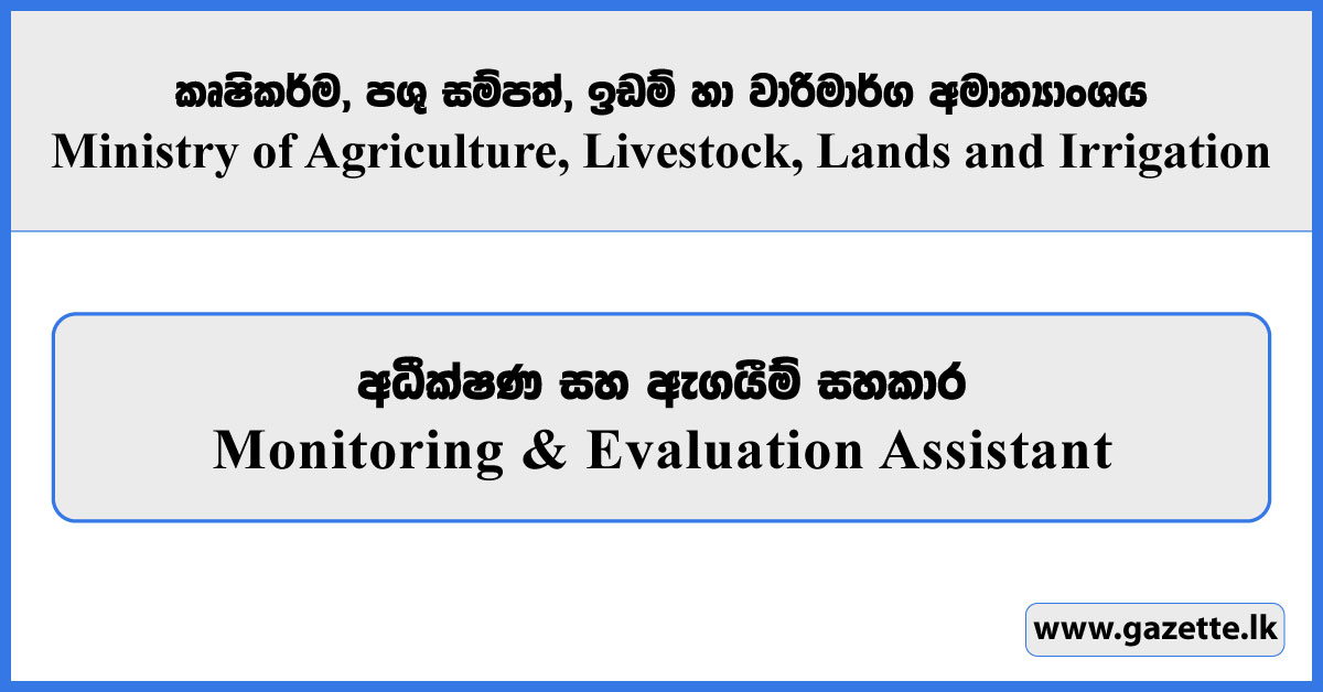 Monitoring & Evaluation Assistant - Ministry of Agriculture, Livestock, Lands and Irrigation Vacancies 2025