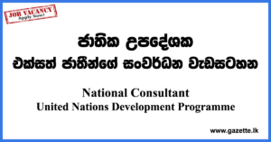 National-Consultant-UNDP-UN-www.gazette.lk