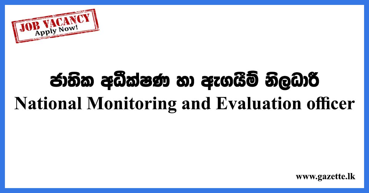 National-Monitoring-and-Evaluation-officer