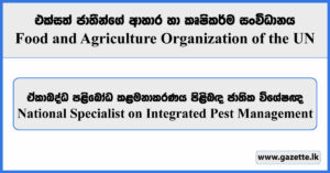 National Specialist on Integrated Pest Management - Food and Agriculture Organization Vacancies 2024