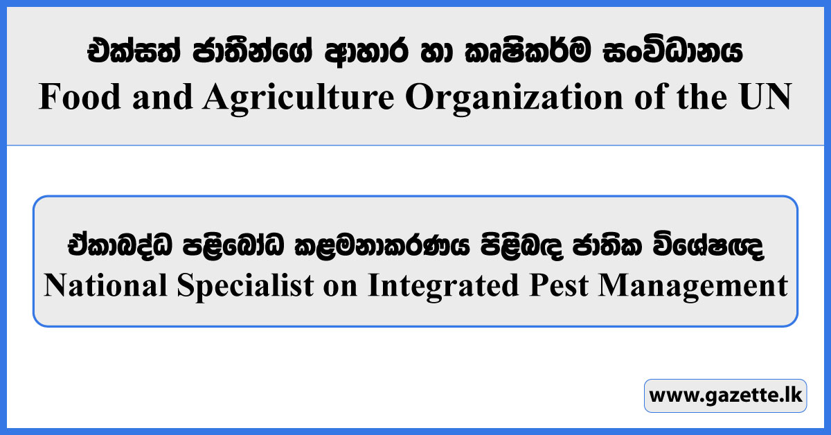 National Specialist on Integrated Pest Management - Food and Agriculture Organization Vacancies 2024