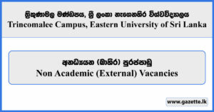 Non Academic (External) Vacancies - Trincomalee Campus, Eastern University of Sri Lanka 2026