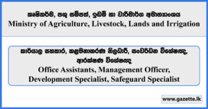 Office Assistants, Management Officer, Development Specialist, Safeguard Specialist - - Ministry of Agriculture, Livestock, Lands and Irrigation Vacancies 2026
