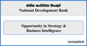 Opportunity in Strategy & Business Intelligence - National Development Bank 2024