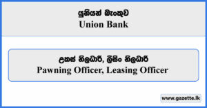 Pawning Officer, Leasing Officer - Union Bank Vacancies 2024