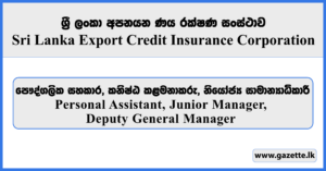 Personal Assistant, Junior Manager, Deputy General Manager - Sri Lanka Export Credit Insurance Corporation Vacancies 2026