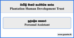 Personal Assistant - Plantation Human Development Trust Vacancies 2025