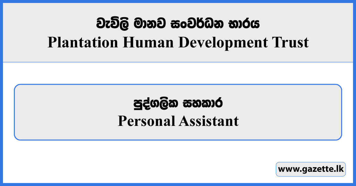 Personal Assistant - Plantation Human Development Trust Vacancies 2025