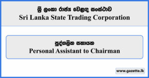 Personal Assistant to Chairman - State Trading Corporation Vacancies 2024