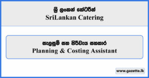 Planning & Costing Assistant - Sri Lankan Catering Vacancies 2025
