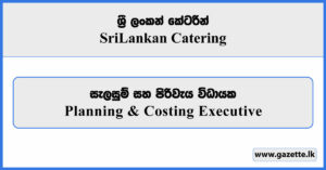 Planning & Costing Executive - Sri Lankan Catering Vacancies 2026