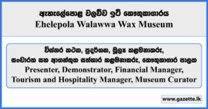 Presenter, Demonstrator, Financial Manager, Tourism and Hospitality Manager, Museum Curator - Ehelepola Walawwa Wax Museum Vacancies 2025
