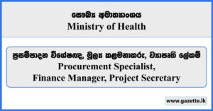 Procurement Specialist, Finance Manager, Project Secretary - Ministry of Health Vacancies 2024