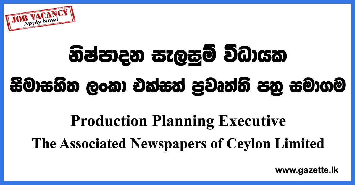 Production Planning Executive