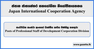 Posts of Professional Staff of Development Corporation Division - Japan International Cooperation Agency Vacancies 2025