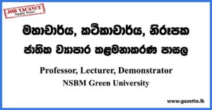 Professor, Lecturer, Demonstrator - NSBM Green University Vacancies 2023