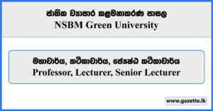 Professor, Lecturer, Senior Lecturer - NSBM Green University Vacancies 2024
