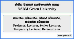 Professor, Lecturer, Senior Lecturer, Temporary Lecturer, Demonstrator - NSBM Green University Vacancies 2024