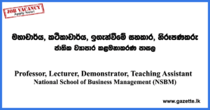 Professor,-Lecturer,-Teaching-Assistant,-Demonstrator