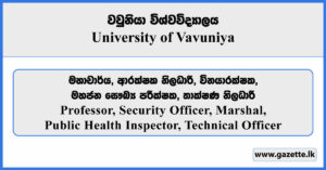 Professor, Security Officer, Marshal, PHI, Technical Officer - University of Vavuniya Vacancies 2025