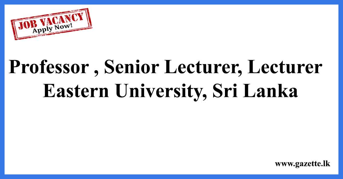 Professor-Senior-Lecturer,-Lecturer