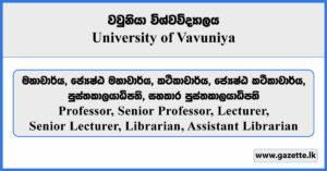 Professor, Senior Professor, Lecturer, Senior Lecturer, Librarian, Assistant Librarian - University of Vavuniya Vacancies 2025