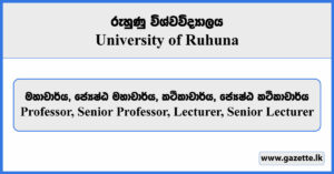 Lecturer, Senior Lecturer, Professor, Senior Professor - University of Ruhuna Vacancies 2025