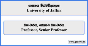 Professor, Senior Professor - University of Jaffna Vacancies 2024
