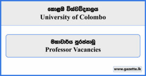 Professor - University of Colombo Vacancies 2024