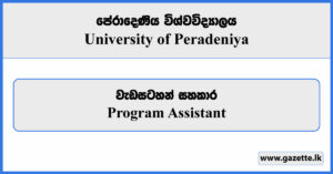 Program Assistant - University of Peradeniya Vacancies 2024