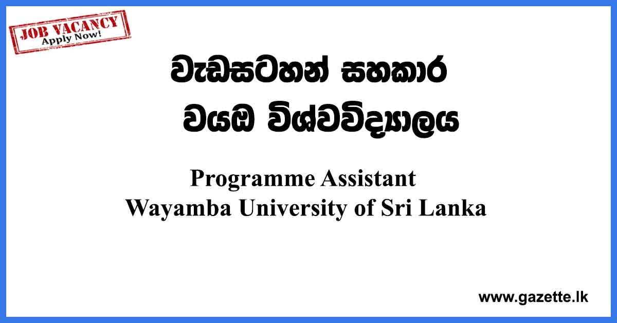 Programme-Assistant