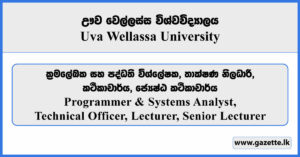 Programmer, System Analyst, Technical Officer, Lecturer, Senior Lecturer - Uva Wellassa University Vacancies 2026