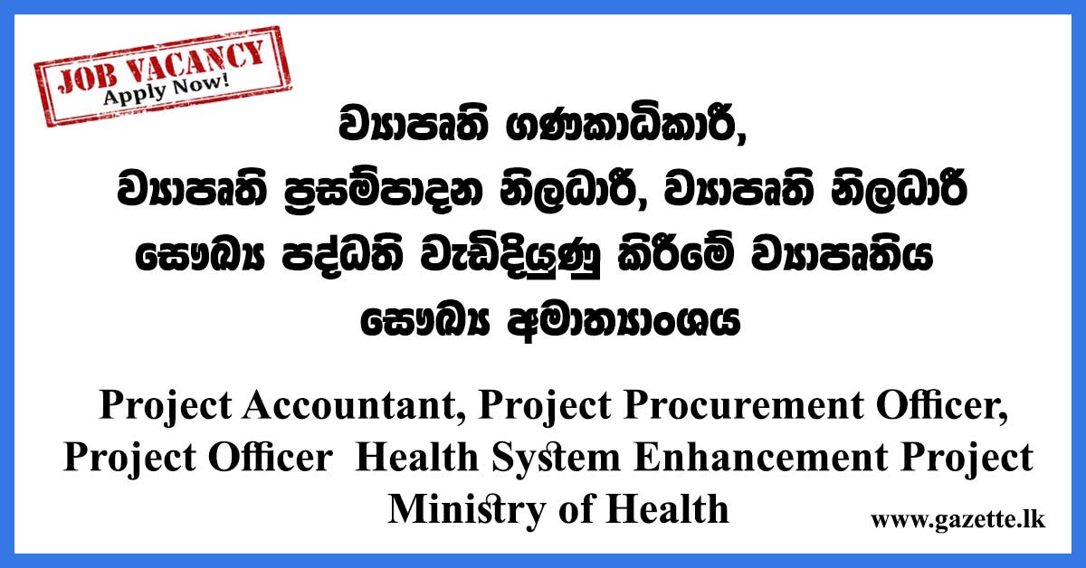 Project-Accountant,-Project-Procurement-Officer