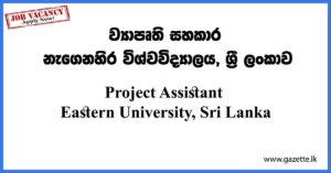 Project-Assistant