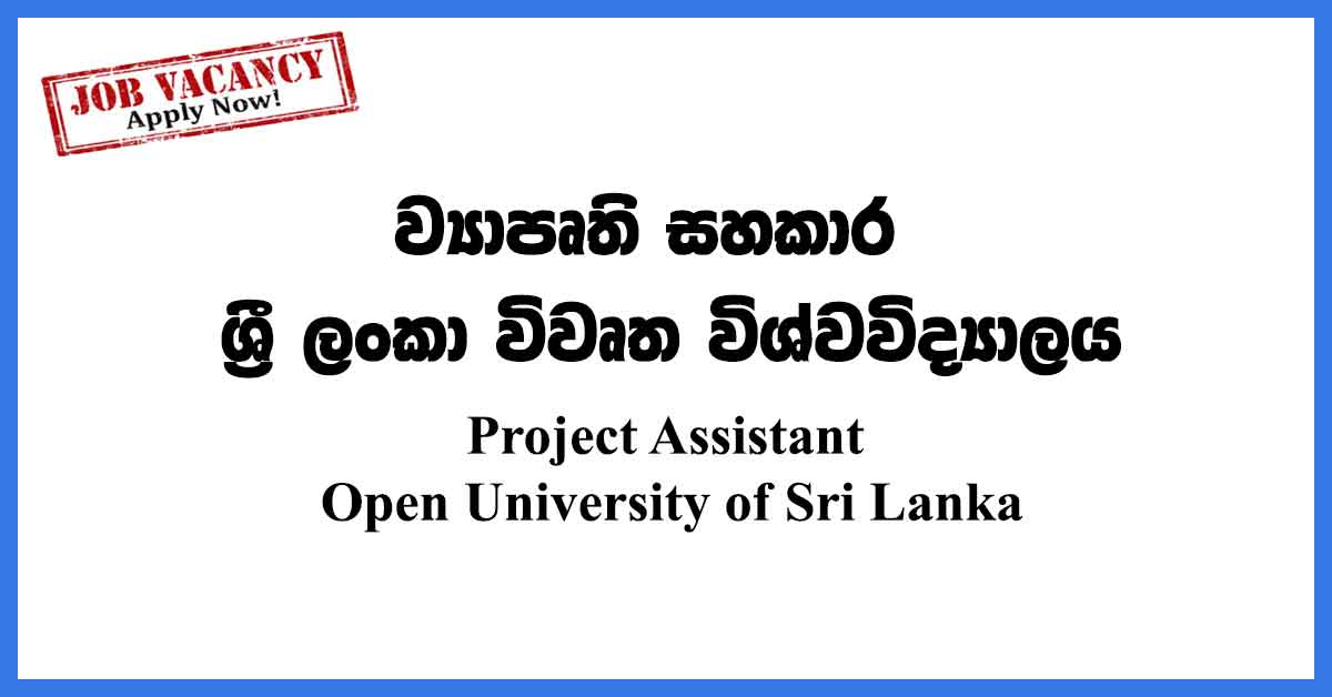 Project Assistant Open