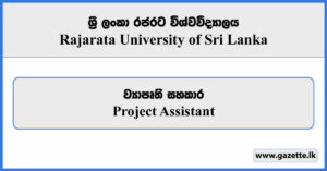 Project Assistant - Rajarata University Vacancies 2025