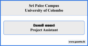 Project Assistant - Sri Palee Campus Vacancies 2025