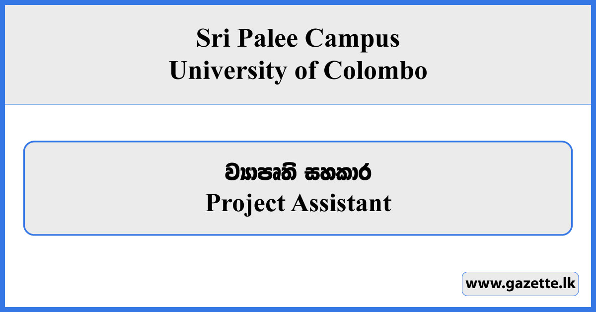 Project Assistant - Sri Palee Campus Vacancies 2025