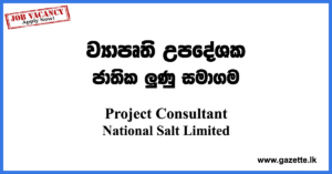 Project-Consultant-National-Salt-Limited-Ministry-of-Industries-www.gazette.lk