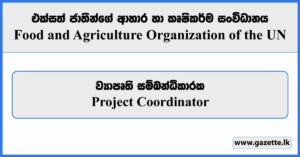 Project Coordinator - Food and Agriculture Organization Vacancies 2024