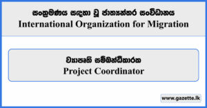 Project Coordinator - International Organization for Migration Vacancies 2024