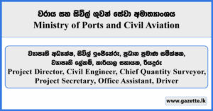 Project Director, Civil Engineer, Chief Quantity Surveyor, Project Secretary, Office Assistant, Driver - Ministry of Ports and Civil Aviation Vacancies 2025