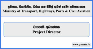 Project Director - Ministry of Transport, Highways, Ports and Civil Aviation Vacancies 2025