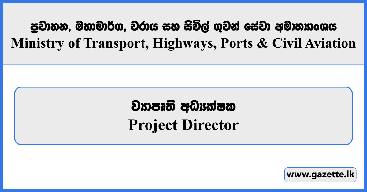 Project Director - Ministry of Transport, Highways, Ports and Civil Aviation Vacancies 2025