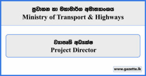 Project Director - Ministry of Transport & Highways Vacancies 2023