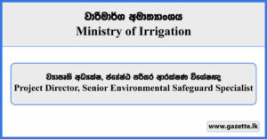 Project Director, Senior Environmental Safeguard Specialist - Ministry of Irrigation Vacancies 2023